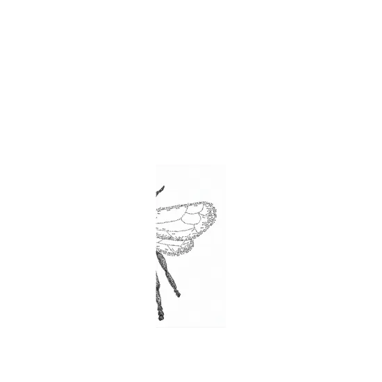 image-preview-2