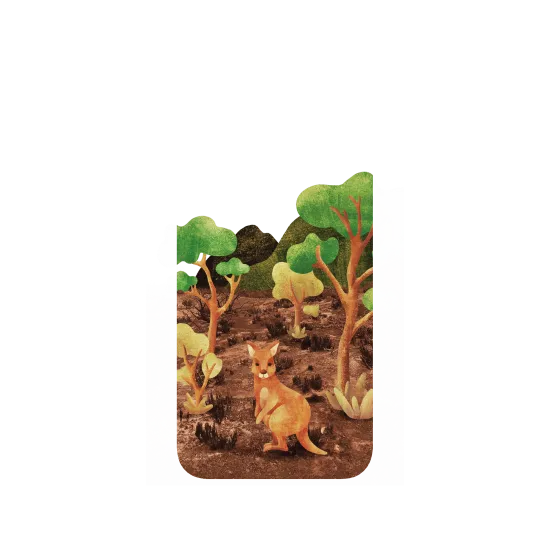 image-preview-2
