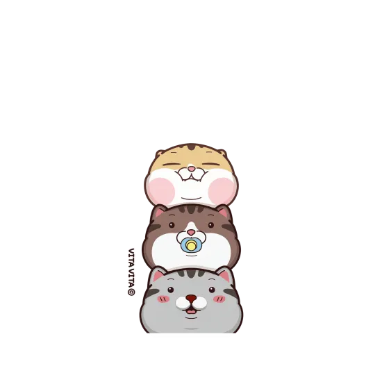 image-preview-3