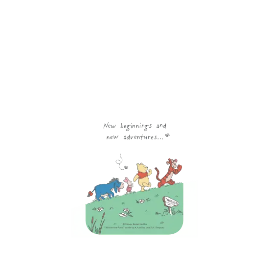 image-preview-3