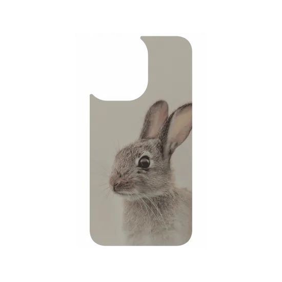 image-preview-3