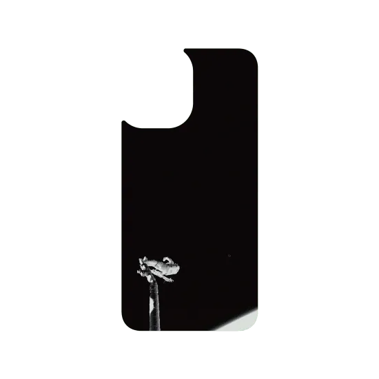 image-preview-3