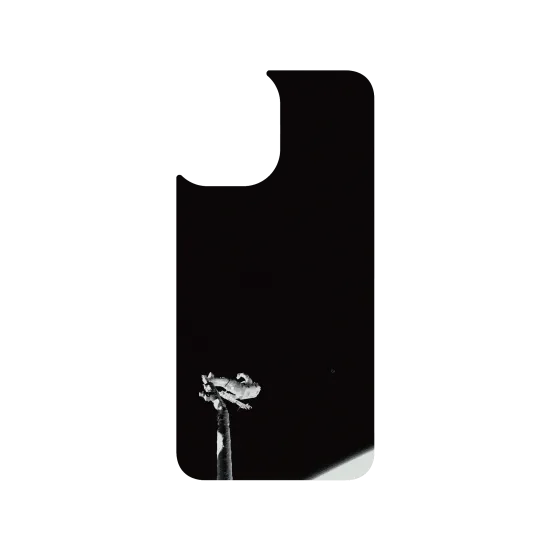 image-preview-3
