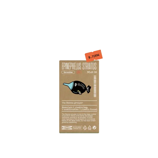 image-preview-3