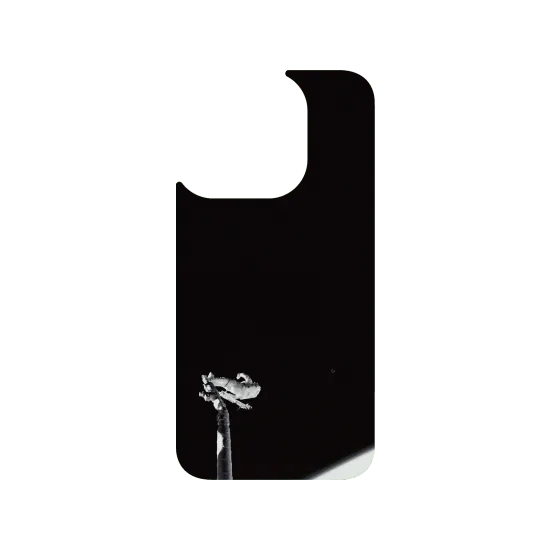 image-preview-3