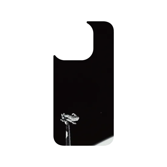 image-preview-3