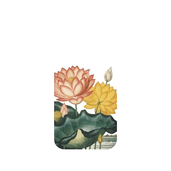image-preview-3