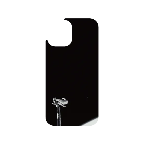 image-preview-3