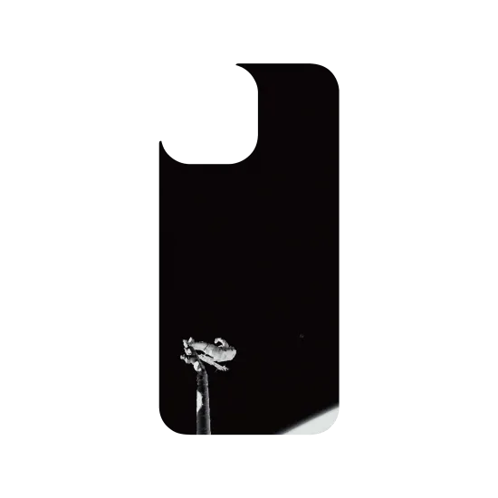 image-preview-3