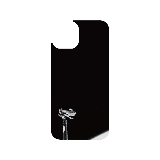 image-preview-3