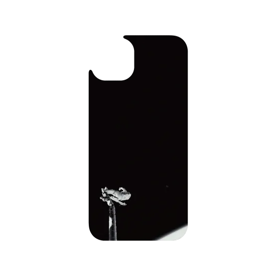 image-preview-3