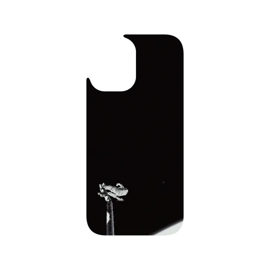 image-preview-4