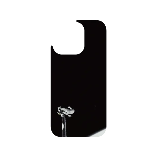 image-preview-4
