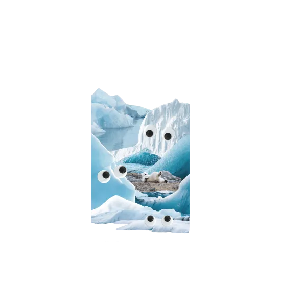 image-preview-4