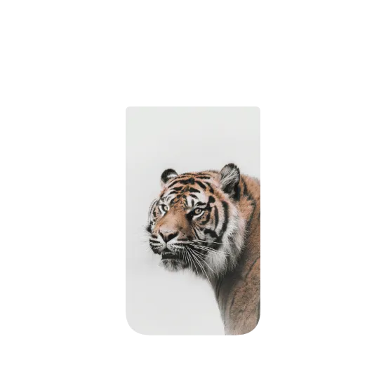 image-preview-4