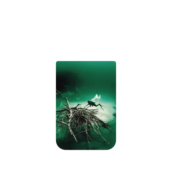 image-preview-4