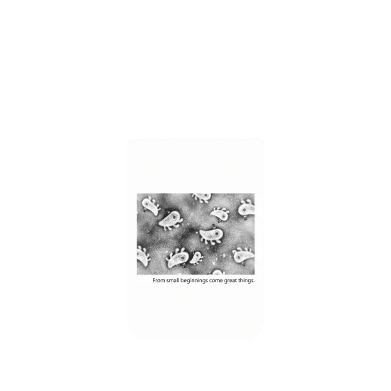 image-preview-4