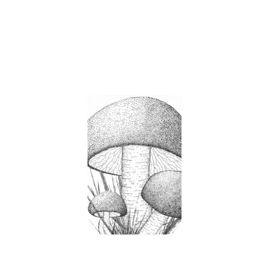 image-preview-4