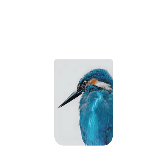 image-preview-4