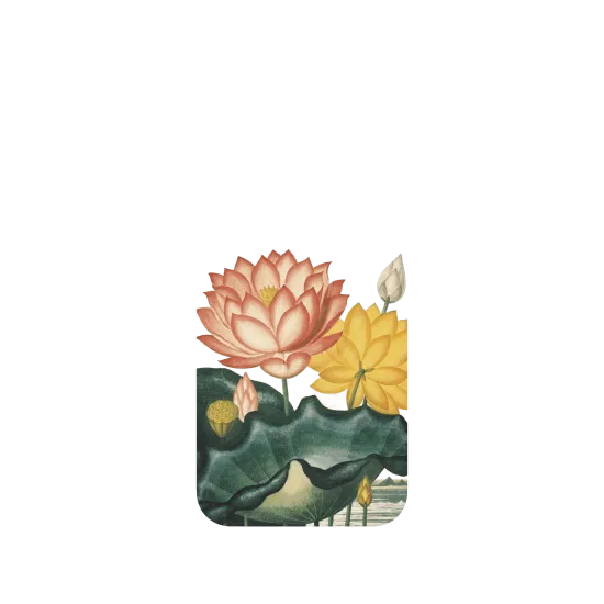 image-preview-4