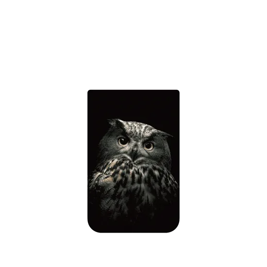 image-preview-4