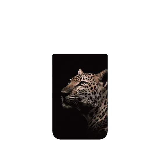 image-preview-4