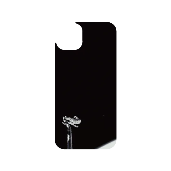 image-preview-3