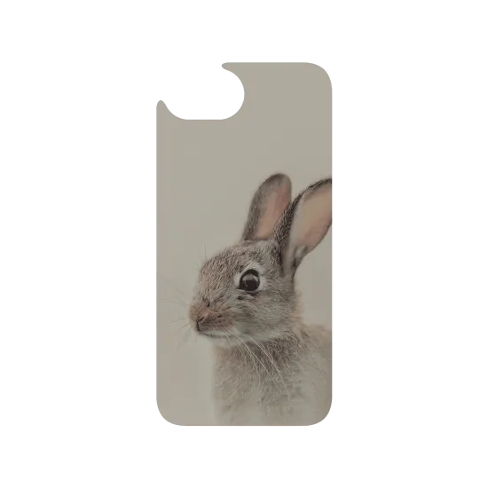 image-preview-3