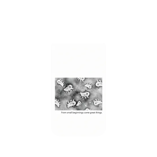 image-preview-4