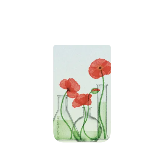 image-preview-4