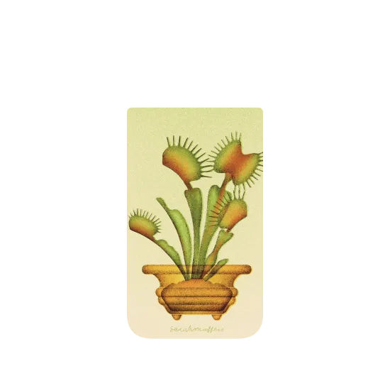image-preview-4