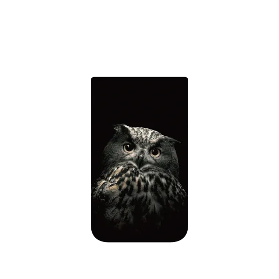 image-preview-4