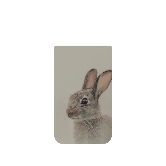 image-preview-4