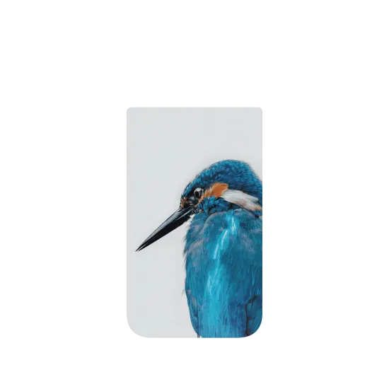 image-preview-4