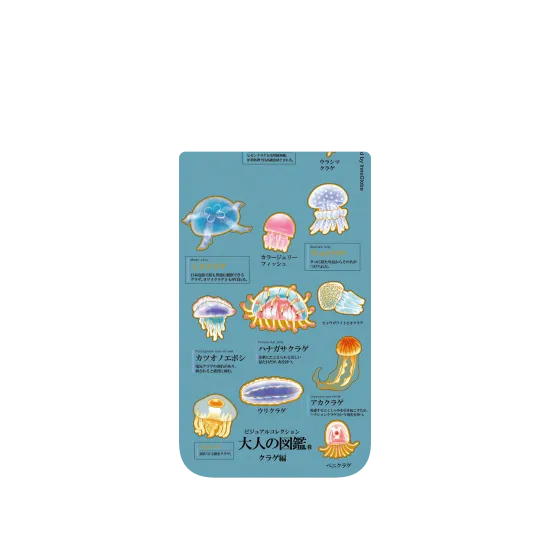 image-preview-4