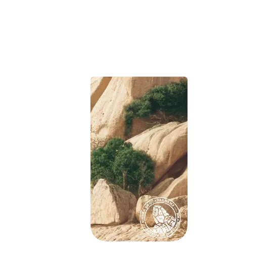 image-preview-4