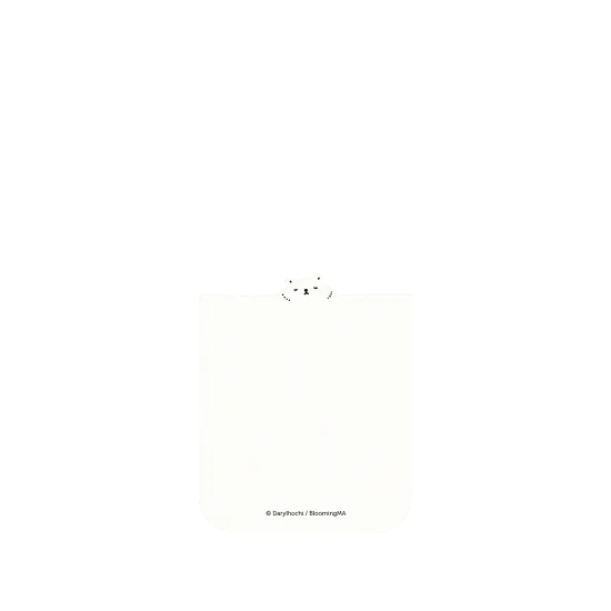 image-preview-4