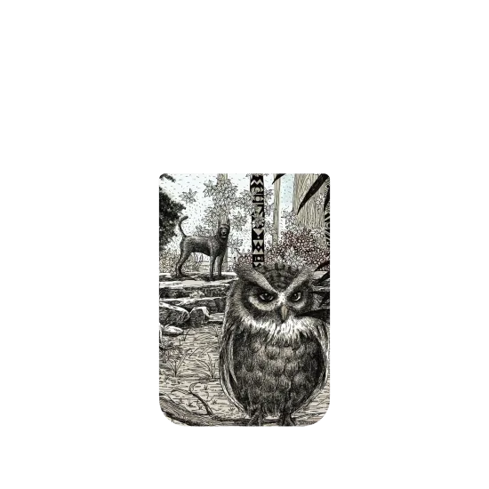 image-preview-4