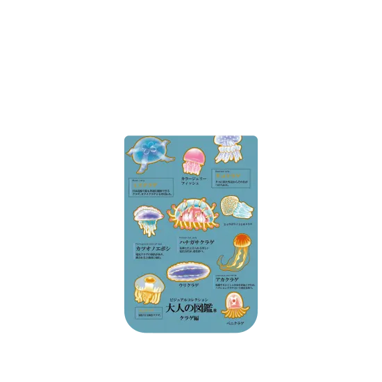 image-preview-4