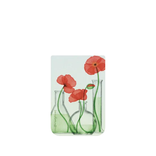image-preview-4