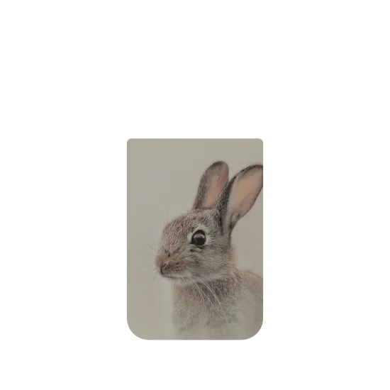 image-preview-4