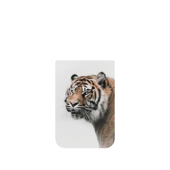 image-preview-4