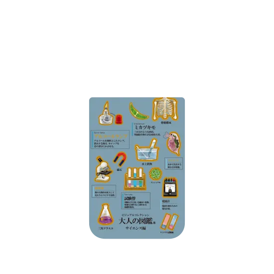image-preview-4
