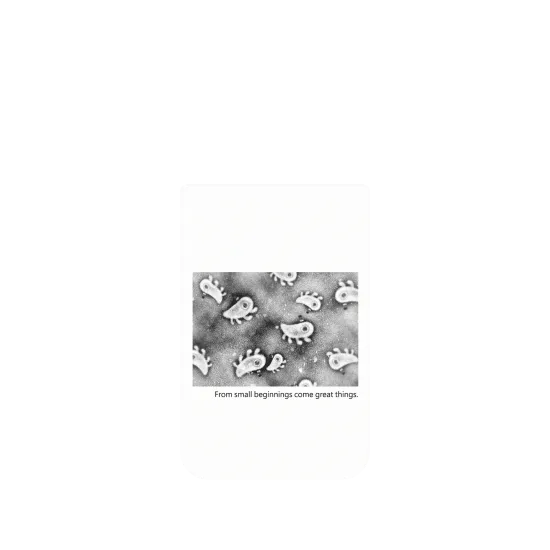 image-preview-4