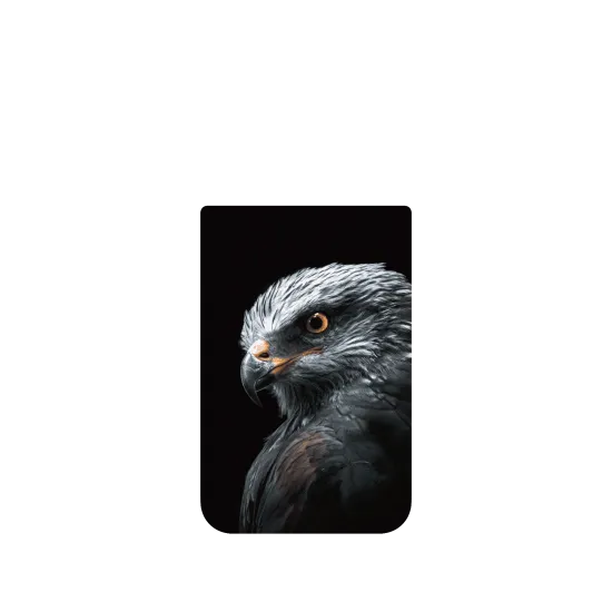 image-preview-4