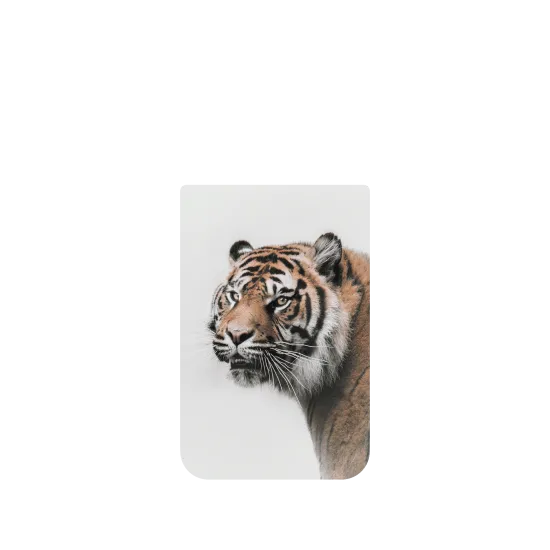 image-preview-4