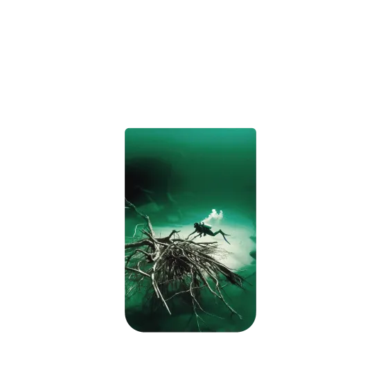 image-preview-4