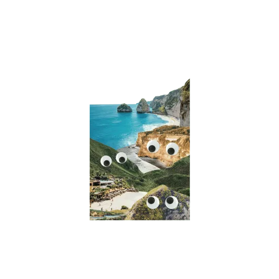 image-preview-4