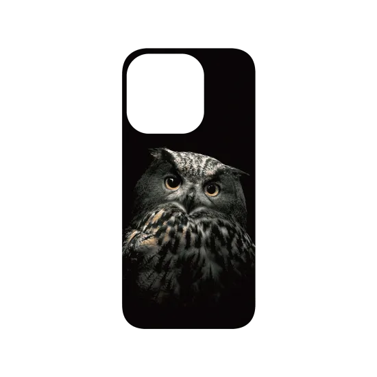 image-preview-3