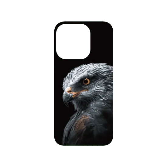 image-preview-3